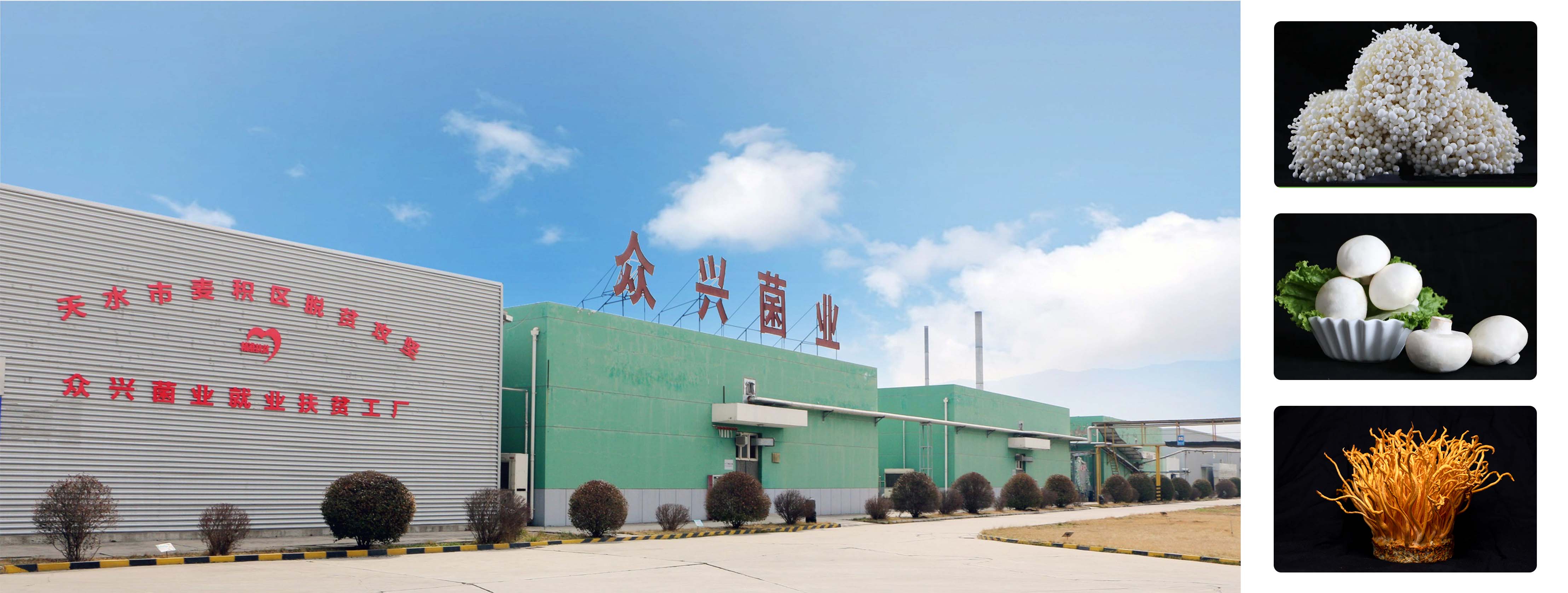 未标题-1.jpg 未标题-1.jpg